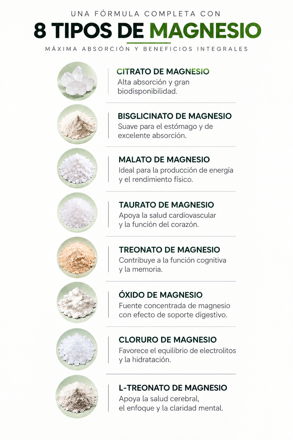 Infografía de 8 tipos de magnesio